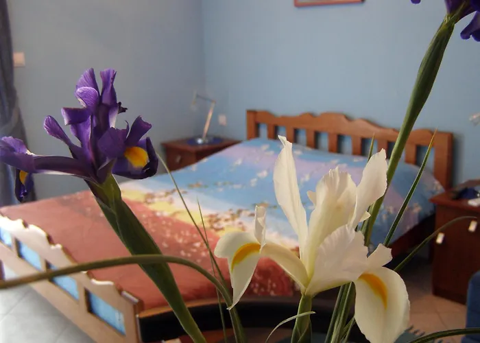 Djurovic Apartments Montenegro