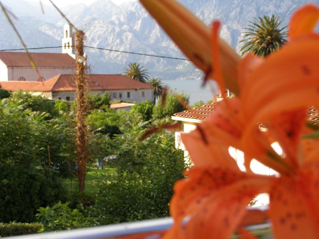 Djurovic Montenegro Appartamento