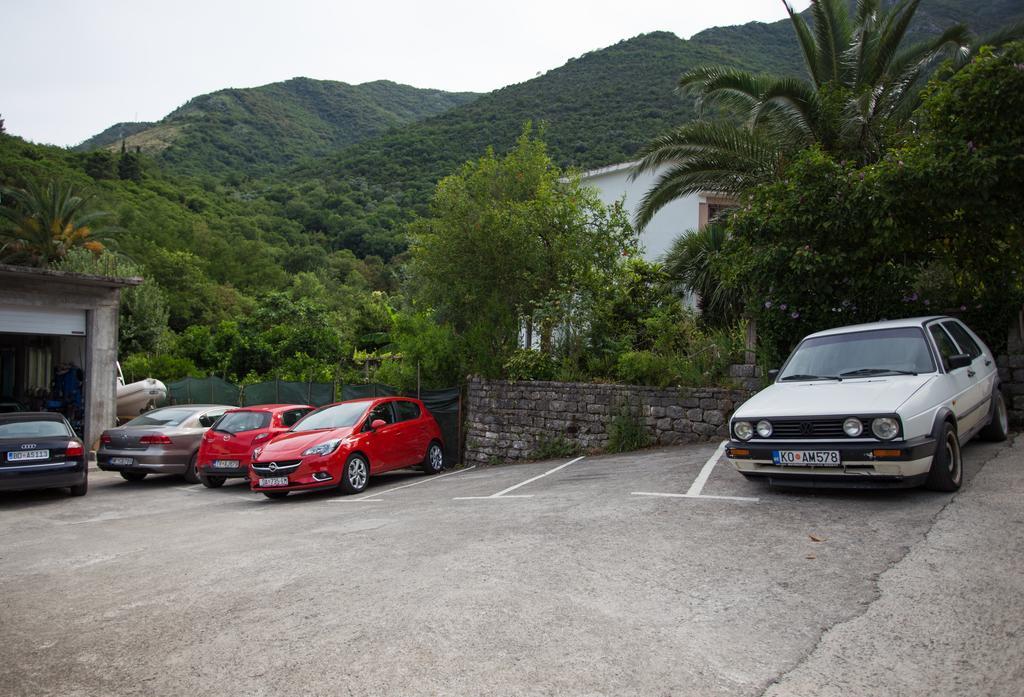 Djurovic Montenegro Kotor