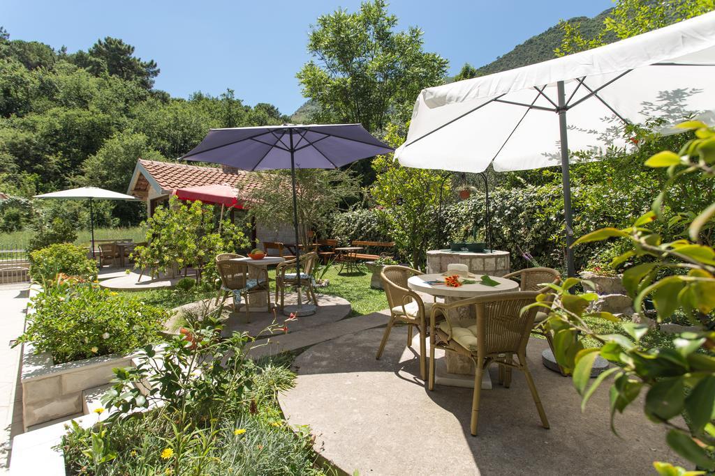 Apartment Djurovic Montenegro *